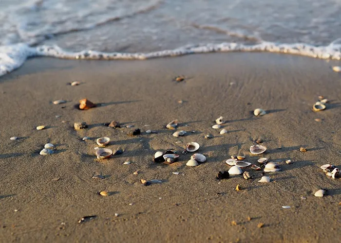 Fabulous In A Peaceful Area - Beahost * Bibione