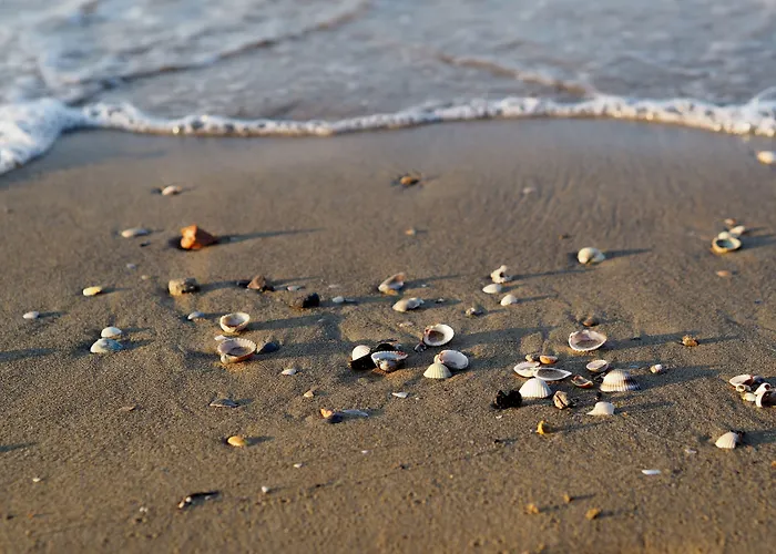 Fabulous In A Peaceful Area - Beahost Villa Bibione